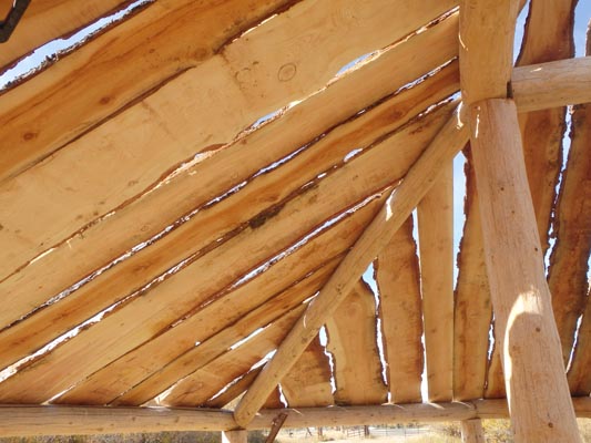 Earthlodge slabwood ceiling.