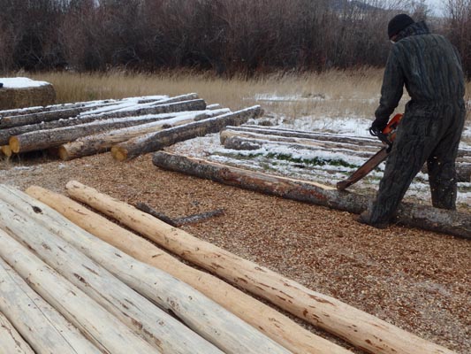 Peeling logs with a Log Wizard.