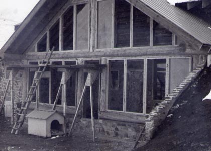 Greenhouse windows from used patio doors.