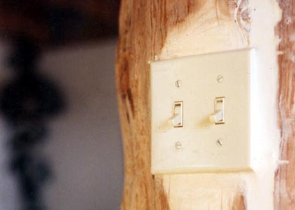 Light switch in log and wires in natural log cracks.