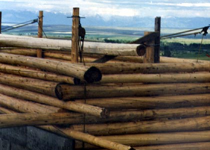 Second story logs and moving ridgepole.