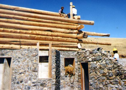 Cellar and greenhouse stone wall.