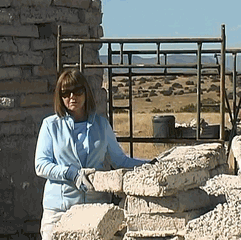 Judith Williams building with papercrete.