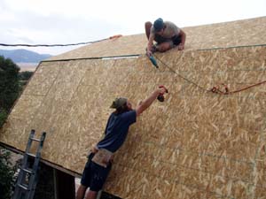 Final layer of OSB on roof.