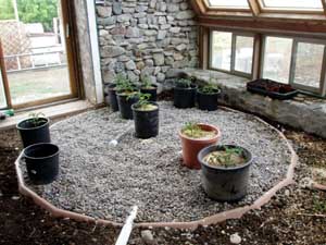 Greywater filter system in greenhouse.