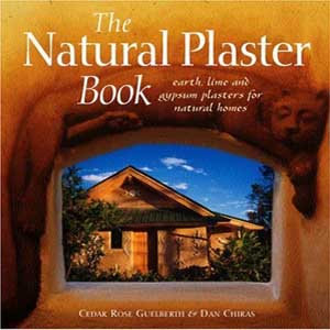 Natural Plaster Book - book cover.